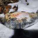 이도수산 이미지