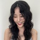 빈에물들다