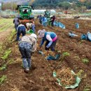 군내약국 이미지