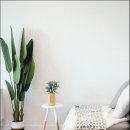 집밥 레시피 이미지