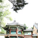 일신여관 | 청와대~경복궁 건청궁 특별 개방 전시