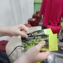 녹색 | 타이난 당일치기 쓰차오 녹색터널 입장료 시간 솔직 후기