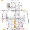 기경팔맥의 해설 , 임맥과 독맥의 혈자리 해설 및 위치도 이미지