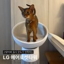 개와 집사의 시간 | 고양이집사의 선택 LG 에어로켓타워 공기청정기 내돈내산 실사용 후기