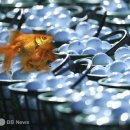 강산골프연습장 이미지