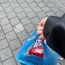 친구들과 함께 프리이빗하게 즐기는 실내 캠핑 부천 상동 원테이블캠핑 후기