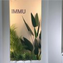 이뮤(immu)