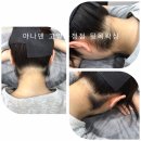 아나덴슈가링왁싱고양화정점
