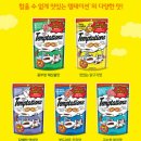 마성의냥이