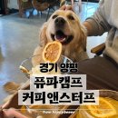 아날로그커피 | [경기 양평]ㅣ퓨파캠프커피앤스터프ㅣ아날로그 감성 캠핑용품 쇼룸 카페 방문후기 (feat. 사랑스러운...