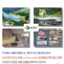 디톡스족욕