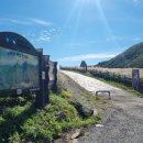 영 농장 이미지