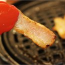 와우암돼지 무한리필 원미직영점 이미지