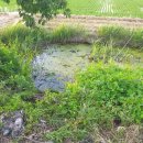 죽동할머니 이미지