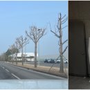 기아(주) AutoLand화성