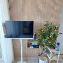 스테이 다옴 이미지