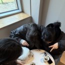 독트럴파크 이미지