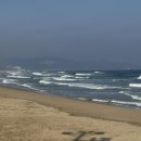 대진해변 | 동해 해돋이 명소와 서핑 핫플로 유명한 대진해수욕장 주차장 및 일출구경 명당추천