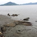 동진포 석축나루터 이미지