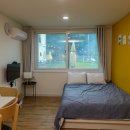 도그밀리 이미지