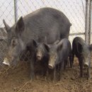 성의 농장 이미지