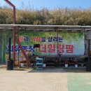 프로렌탈