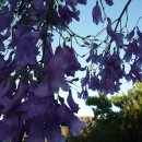 마운틴리버 이미지