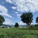 양구조은펜션 이미지