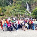 속리산농장 이미지