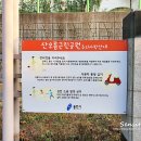 동백산오름공원 테니스장 네이버블로그
