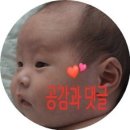 장수토종꺼먹돼지 - 안양시 동안구 흥안대로492번길 50 | 장수토종꺼먹돼지