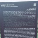 고내상 성지 네이버블로그