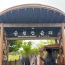진주-천전-비상-20 | [순천] 흐리고 맑음 모두있는 5월 순천만습지