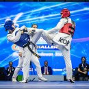 세계로태권도 이미지