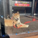 워시랜드 이미지