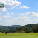 여주-0977 네이버블로그