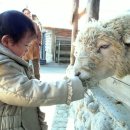 은찬목장 네이버블로그