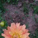 옥주농장 이미지