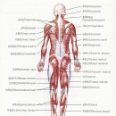 피티공 필라테스 PT 이미지