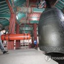 괴산군탄생600주년기념공원 이미지