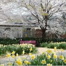 거북이마을 이미지