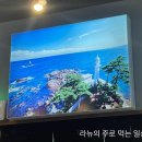 주문진곰치와명태