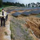 산지태양광발전소 이미지