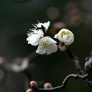 울기객잔