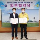 무안인삼