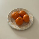 횡성양계 | 두쫀쿠 자만추하는 1박 2일 강릉여행