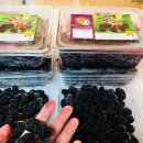 하서농장 이미지