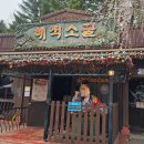 세븐일레븐 서울대공원입구점 | 서울랜드 자유이용권 가격 할인 | 입장권 차이, 오후권, 주차 총정리