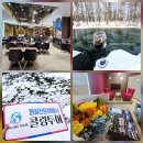 건도약국 | 콜링투어 시그니처 맞춤 몽골여행 일정 무료 제공 종료 안내 (12.15 기준)