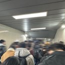 종로-신영-종로-영-240 | 피어난 꽃잎이 사랑이라 말하고 있어